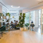 Bright open-plan office with plants, illustrating a store growing from Shopify Advanced to Shopify Plus