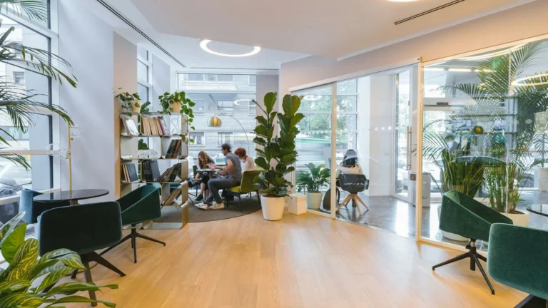 Bright open-plan office with plants, illustrating a store growing from Shopify Advanced to Shopify Plus
