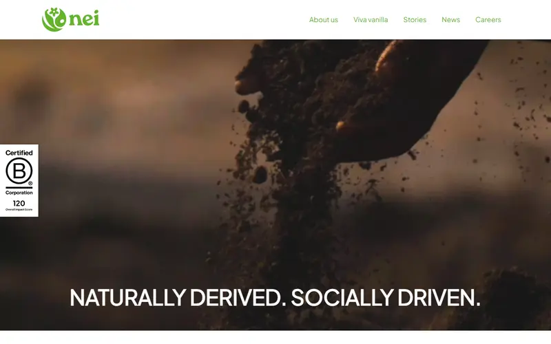 Home page of the NEI website